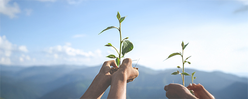 ESG 環境、社會、公司治理