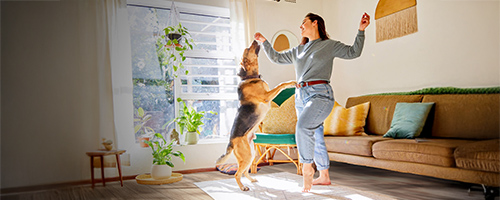 46條-6 隔音建材認證